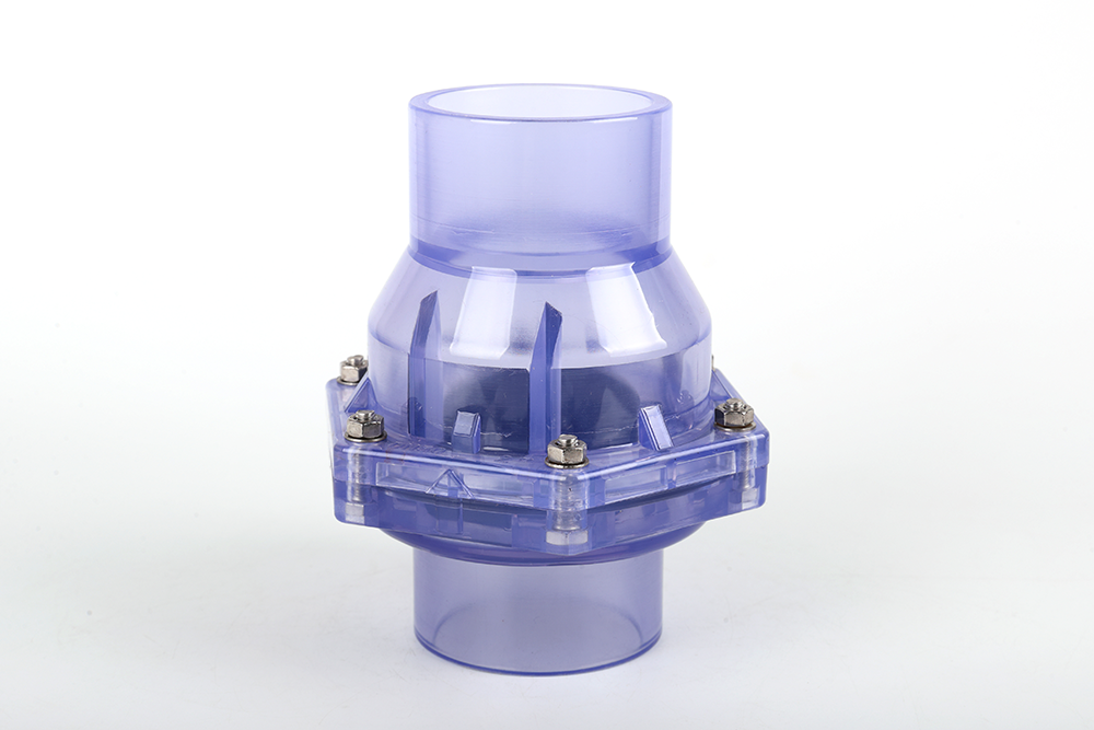 五龙口镇透明翻板式止回阀